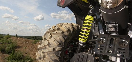 BLADE 1000 LTX MAX EPS 4x4 LIMITED T3b