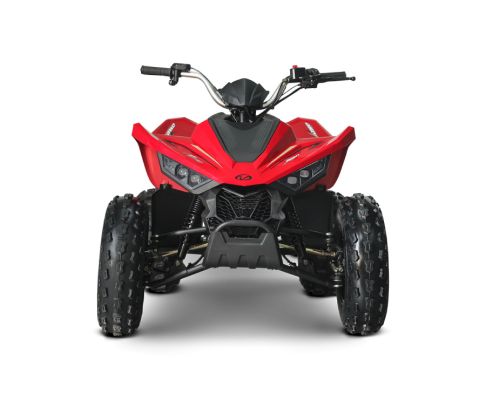 ATV 110 Junior