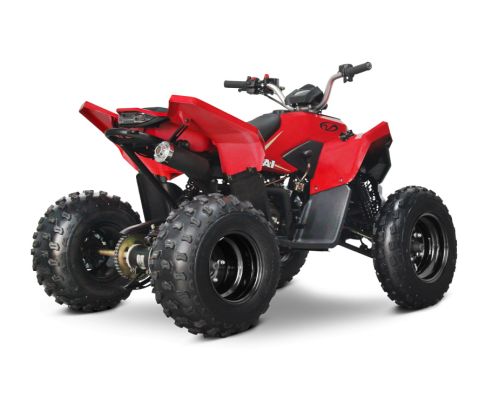 ATV 110 Junior