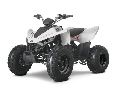 ATV 110 Junior