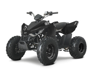 ATV 110 Junior